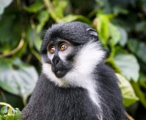 WhatsApp Image 2026-03-14 at 3.33.19 PM (1)