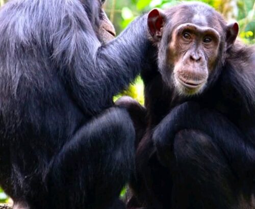 WhatsApp Image 2026-03-14 at 3.33.19 PM (2)