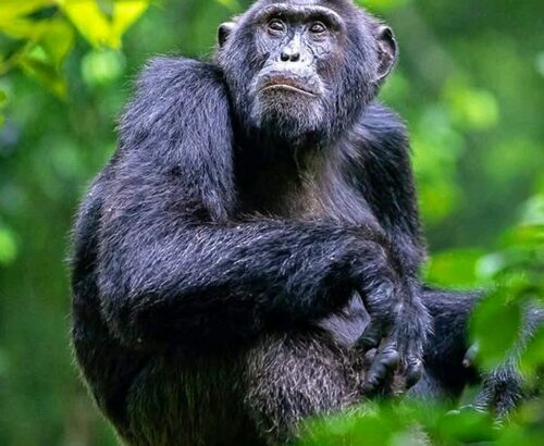 WhatsApp Image 2026-03-14 at 3.33.19 PM (3)