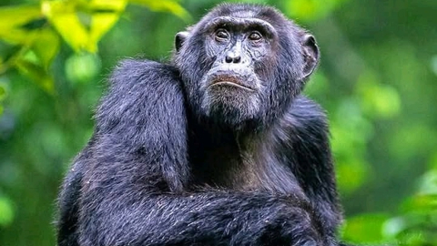 WhatsApp Image 2026-03-14 at 3.33.19 PM (3)