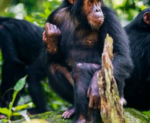 WhatsApp Image 2026-03-14 at 3.33.19 PM