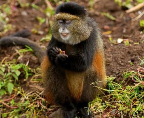 WhatsApp Image 2026-03-14 at 3.33.20 PM