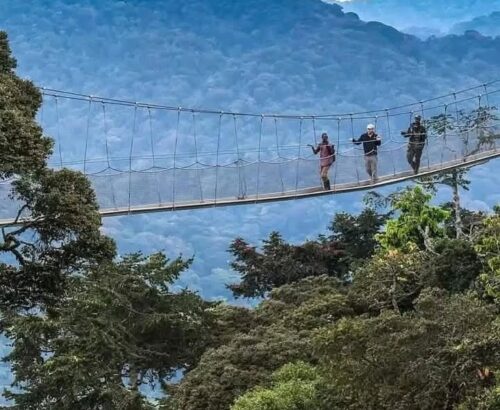 WhatsApp Image 2026-03-14 at 3.33.21 PM (2)