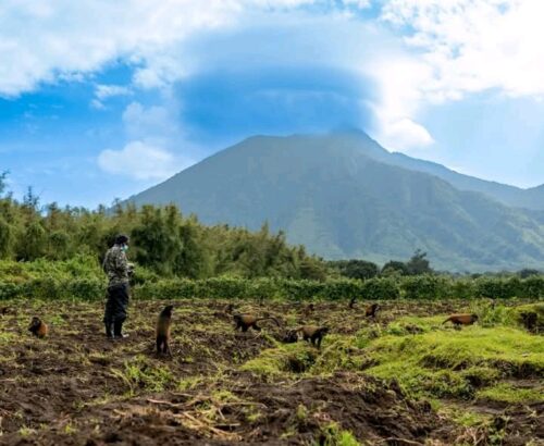 WhatsApp Image 2026-03-14 at 3.33.21 PM