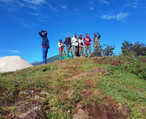 WhatsApp Image 2026-03-14 at 3.41.23 PM