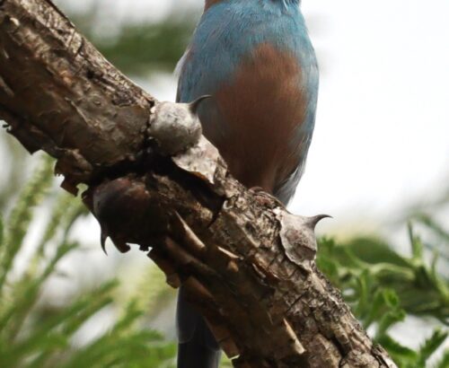 WhatsApp Image 2026-03-14 at 3.41.36 PM