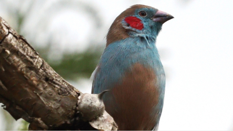 WhatsApp Image 2026-03-14 at 3.41.36 PM