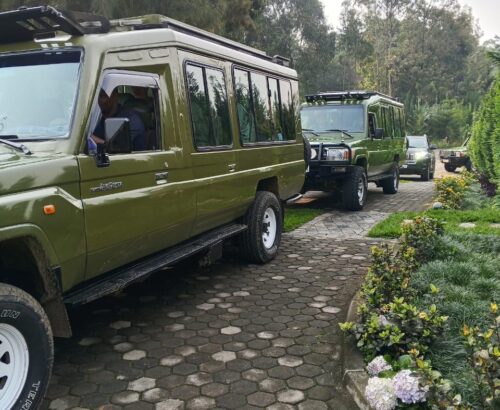 WhatsApp Image 2026-03-14 at 4.51.26 PM